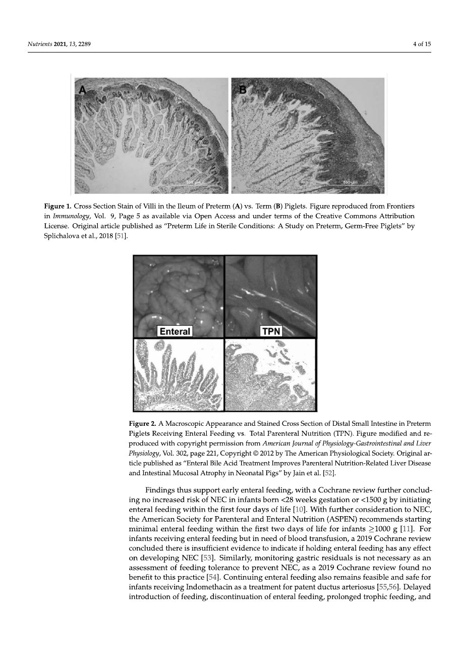 Early Enteral Feeding article, page 4 of 15